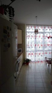 ������ 3 ʳ������ �������� ���������� �� ����� ����� ֳ�� 12000+��.� �����������