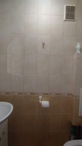 ������ 3 ʳ������ ��������  �. ����� ���. ³��������� ֳ�� 75000$