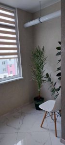 ������ 2 ʳ������ �������� ���������� ���. ������� ֳ�� 18000+��.� �����