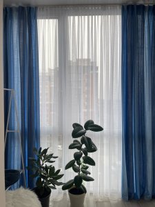 ������ 1 ʳ������ �������� �� ������� ֳ�� 15500+��.� �����