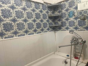 ������ 2 ʳ������ �������� ���. ѳ���� ֳ�� 11000+��.�